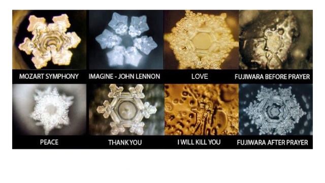 Healthy cardiac diet (complete-English) смотреть онлайн