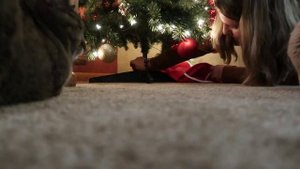 ВЛОГМАС ДЕНЬ 1: Наряжаем ёлку и украшаем дом? Американский влог #78 (Vlogmas 2021)