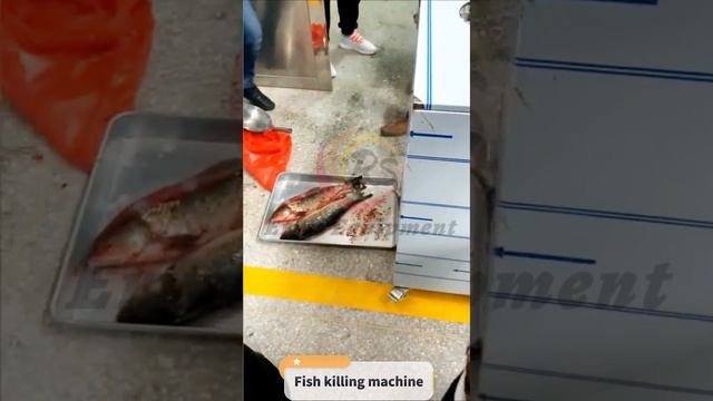 Fast and convenient  fish descaling and killing machine from Eruis