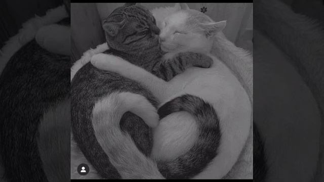 Песня:miyagi & andy panda-Патрон смотреть онлайн