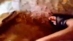 Огромный алабай едва не загрыз хозяина в конуре!!!