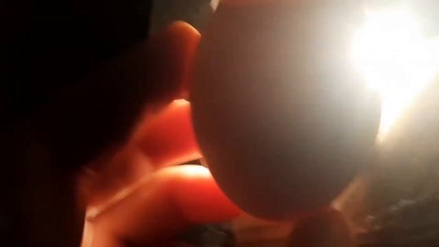 Овоскопирование курных яиц / Инкубация  Влажность??