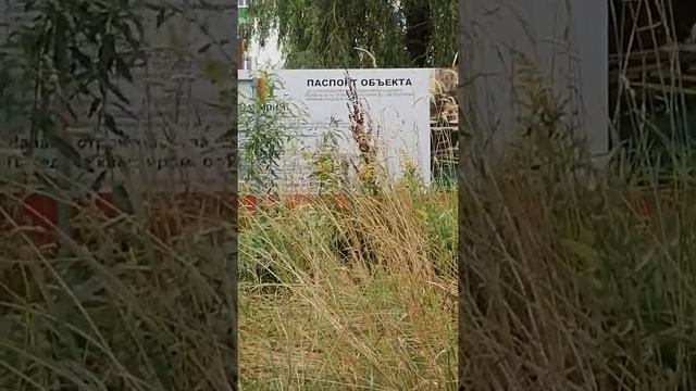 продажа 1 комнатной квартиры в светлогорске жк Олимпия 1 смотреть онлайн