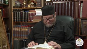Деяния Святых Апостолов. Глава 8. Протоиерей Олег Стеняев. Библия