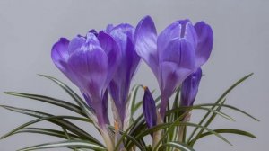 энергетическая связь с бывшими партнерами. Практика на обрыв связей.