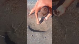 На что можно ловить рыбу в Черном море.