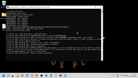 Setup Redis on Docker Desktop | With Commands | Live Demo | Latest Version