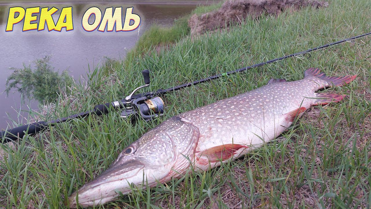 СТОИЛО СМЕНИТЬ ПРИМАНКУ И ДЕЛО ПОШЛО! ДУМАЛ ЧТО НЕ БОЛЬШАЯ, НО ПОТОМ... ЩУКА НА ДЖИГ. смотреть онлайн