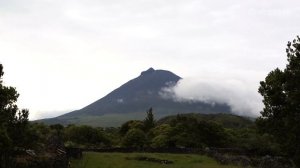 Значение имени Тимофей: карма, характер и судьба