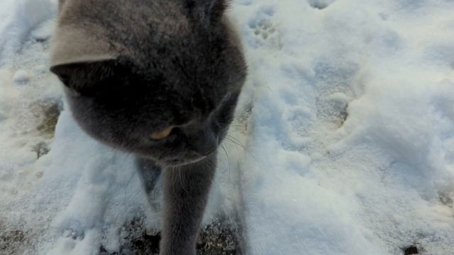 30. Ноября.День прошёл хорошо ❄️