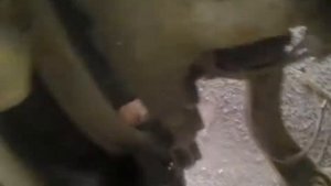 Замена шкворня iveco evrostar