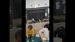 АРТЁМУ 3ГОДА) ИЗДЕВАТЬСЯ НАД КРОЛИКОМ ИНВАЛИДОМ