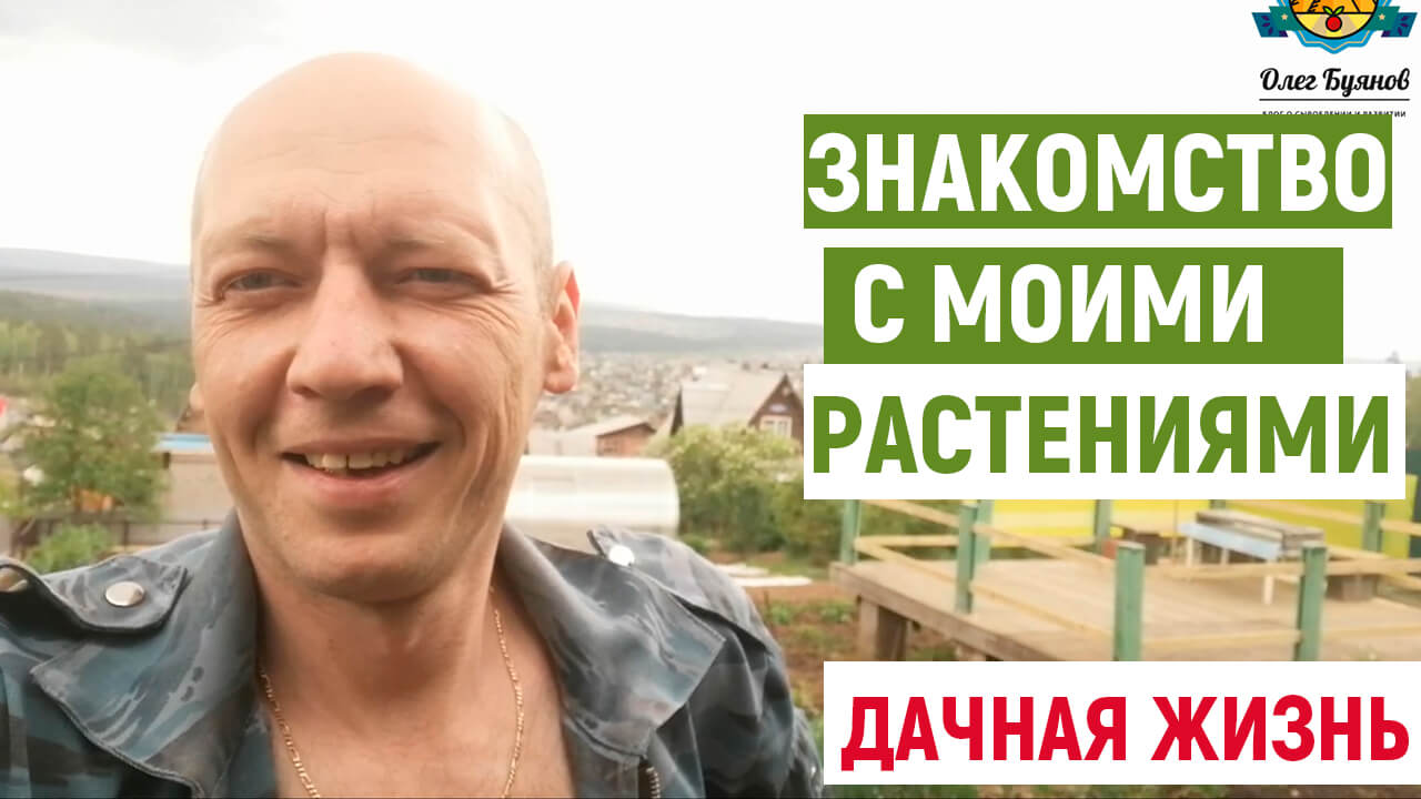 Знакомство с моими растениями на даче