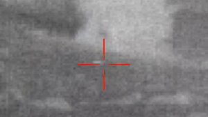 Дальний выстрел или приманка для матёрых волков и шакалов