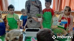 Презентация :"Огород на окне"