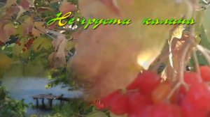 Не грусти калина