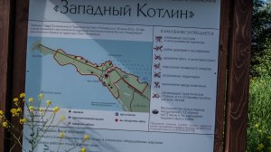 Западный Котлин