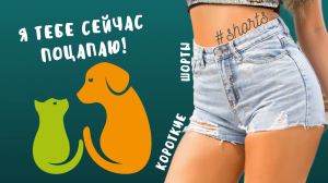 Я тебе сейчас поцапаю!..) #shorts