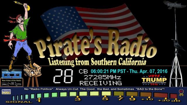 BobCat TN, Carpet 559 SC, DLL 927 KY, Einstein 557 TN смотреть онлайн