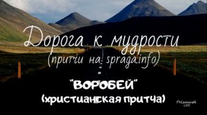 "Воробей". Христианская притча. (цикл "Дорога к мудрости")