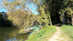 Частная пивоварня в Московской области. Наша жизнь в России.