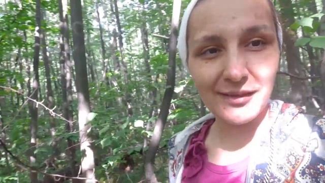мой деревенский выходной!нашли старое фото мамы!?в лесу появились уже лисички!!!????