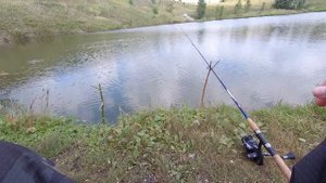 РЫБАЛКА НА ПОПЛАВОК | ПРИШЁЛ ЛОВИТЬ КАРПА НА БЫВШИЙ ПЛАТНЫЙ ВОДОЁМ