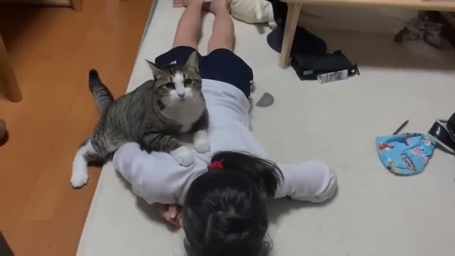 娘にスリスリすることを思い出した猫 смотреть онлайн