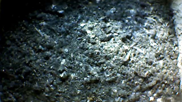 From Internet Camera(Turmfalken[03:1A:A5])2014/06/20,17:34:39_D смотреть онлайн