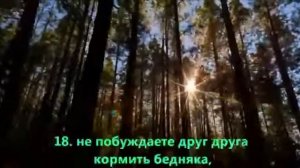 Сура: Аль-Фаджр Чтец: Имад Аль-Мансари