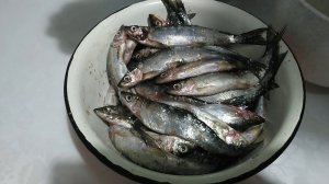 КАРЕЛЬСКАЯ РЯПУШКА