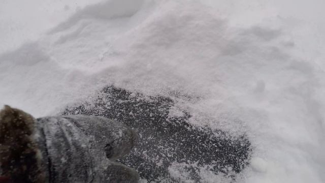 ПОПАЛИ В ПЛЕН СЛУДАСЕРЬЕЗНАЯ РУБКА ПО ЛЕСУ В ПОИСКАХ ИЗБЫТАЁЖНЫЙ БЫТИЗБУШЕЧНЫЙ КАЙФ...