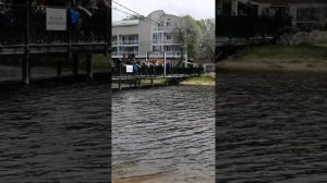 Рыбалка в Анапе. Пеленгас.