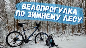 ??♀️? Велопрогулка по Зимнему лесу. Ростов завалило снегом!