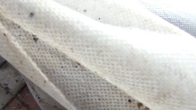 КОГДА ОБРЕЗАТЬ и УКРЫВАТЬ ВИНОГРАД в Средней Полосе ??? ЗАКАЛКА ЛОЗ