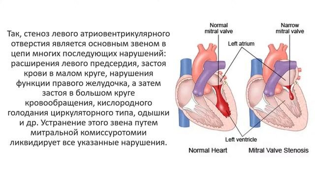 Общий патогенез. Часть 2. Патологическая физиология.