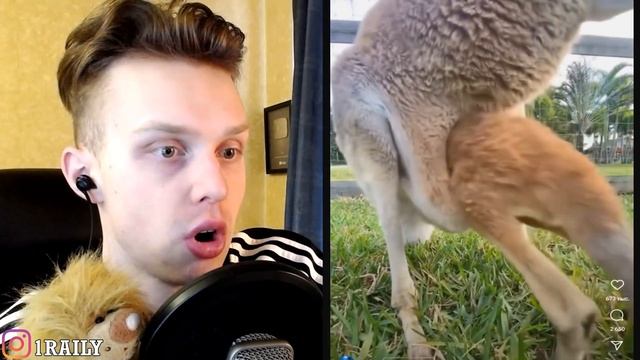 СМОТРИ и Смех и Грех! - ТРЕШ в ТИК ТОКЕ ! - ЗАРЖАЛ УДАЛЯЙ TikTok смотреть онлайн