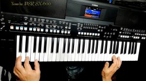 Сибирские морозы В.Кузьмин covеr Yamaha PSR SX-600