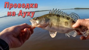 Открытие лодочного сезона, разгадал проводку на Ауху