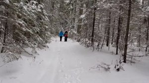 Путешествие в п. Кын Пермский край.