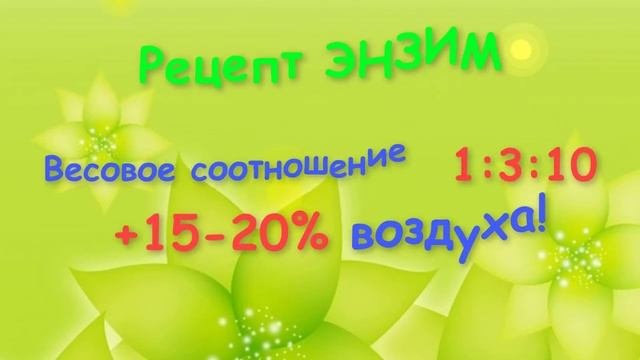 Проект ЭНЗИМЫ
