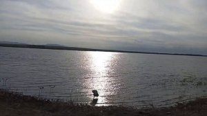 Рыбалка в Крыму. Феодосийское водохранилище.