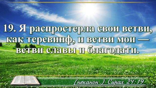 Книга премудрости Иисуса Сына Сирахова с музыкой глава 24 читаем и слушаем смотреть онлайн