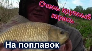 Клюёт только крупный карась. Рыбалка на карася и окуня в начале июня.