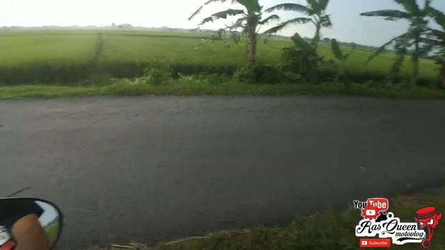 Busi PLATINUM andalan motor 2 Stroke || Solusi cerdas pecinta 2 tak auto gass Doeeet !!! смотреть онлайн