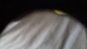 Angry birds toons episode 20 run chuck run