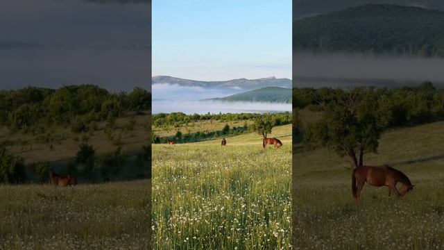 Волшебная планета 2
