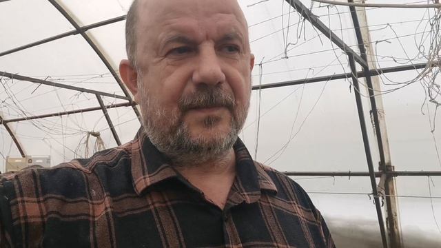 Как же правильно, посадить или посеять? Когда поливать рассаду? Главное средство от чёрной ножки смотреть онлайн