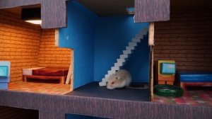 Hamster Adventures In Rainbow Friends Maze In Real Life [OBSTACLE COURSE]