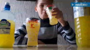 Сравнение Zuko VS Yppi